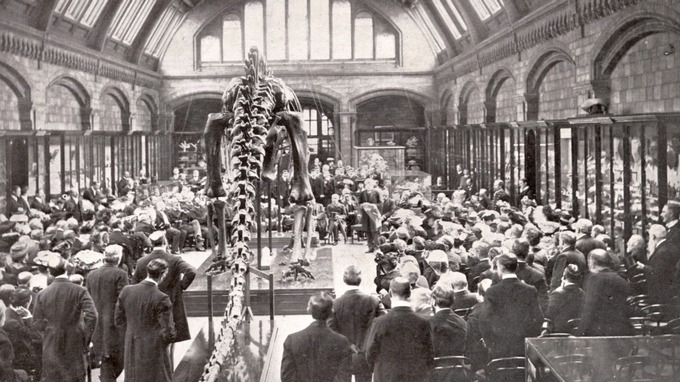 dippy on tour dinosaur comes to norwich
